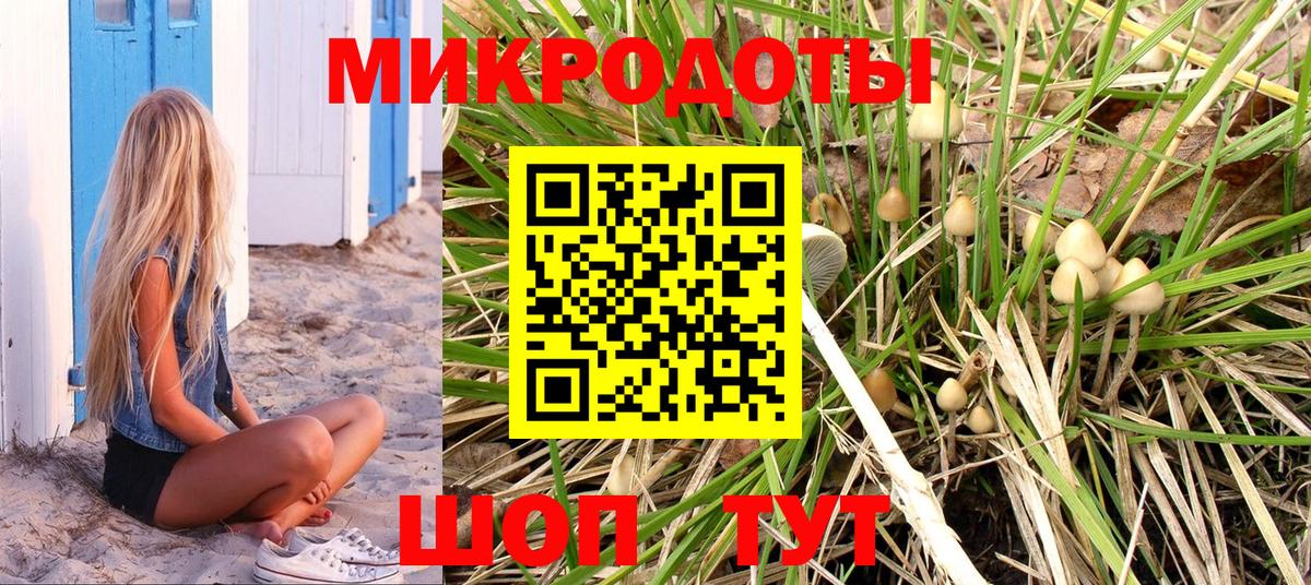 Советская Гавань  Псилоцибиновые грибы ЛСД  Вход с VPN 